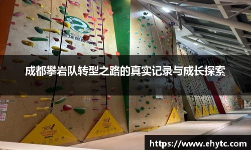 乐球体育直播