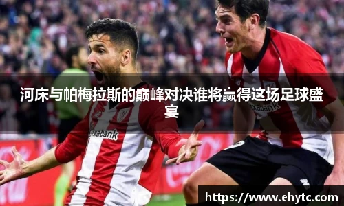 乐球体育直播