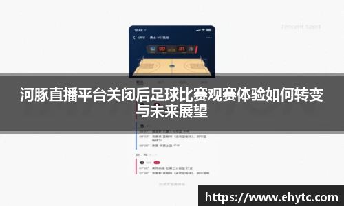 河豚直播平台关闭后足球比赛观赛体验如何转变与未来展望