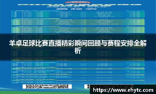 羊卓足球比赛直播精彩瞬间回顾与赛程安排全解析