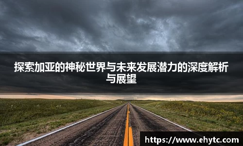乐球体育直播